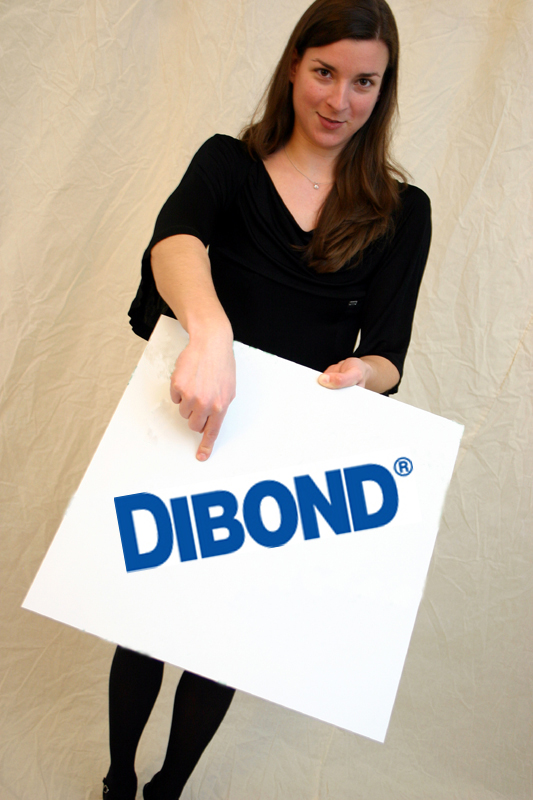 DIBOND® platinweiß 1250 x 2550 x 3 mm Aluminiumverbundmaterial